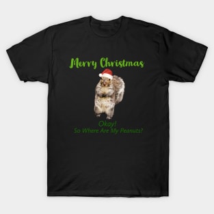 Squirrel With Santa Hat T-shirt T-Shirt